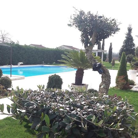 Agriturismo Sant' Isidoro Βίλα Anagni Εξωτερικό φωτογραφία